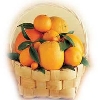 12 Pieces Orange Basket