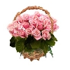 50 Pink Roses in Handle Basket